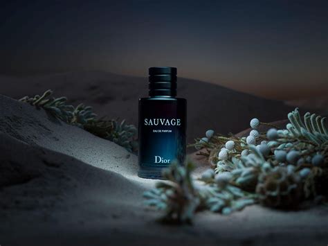 dior sauvage big|Altro.